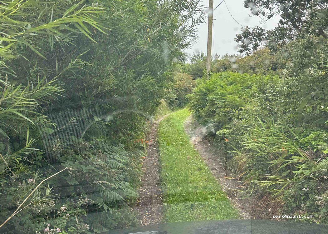 (Y35 ND28) Carne - Unnamed Road — foto 2