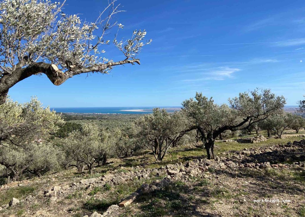 Magische plek op Coll de l’Alba — foto