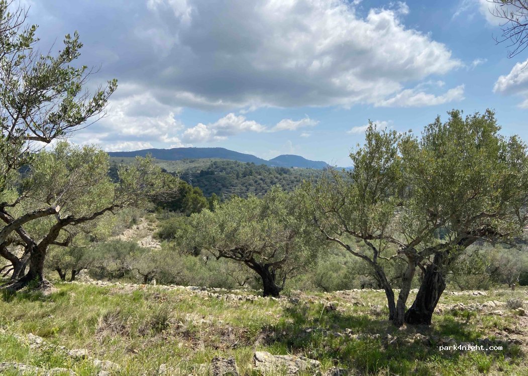 Magische plek op Coll de l’Alba — foto 2