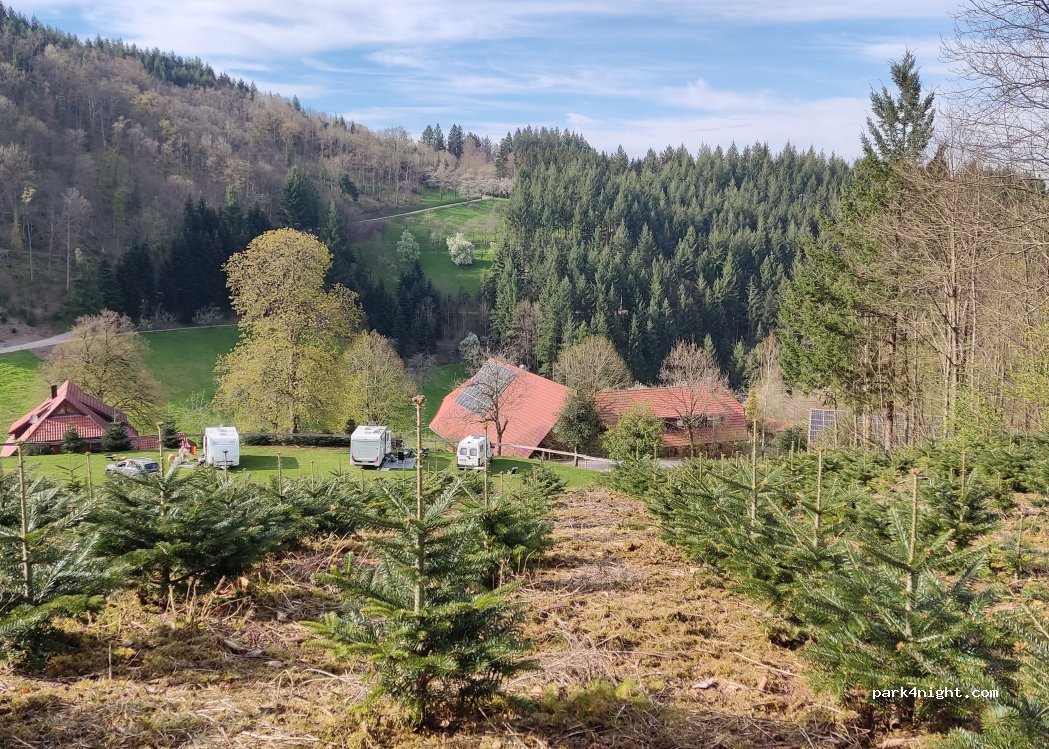 Ritterhof Durbach — foto 5