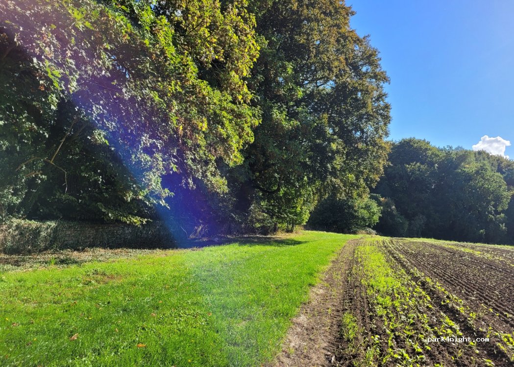 Meyerhof Nordhausen — foto 3