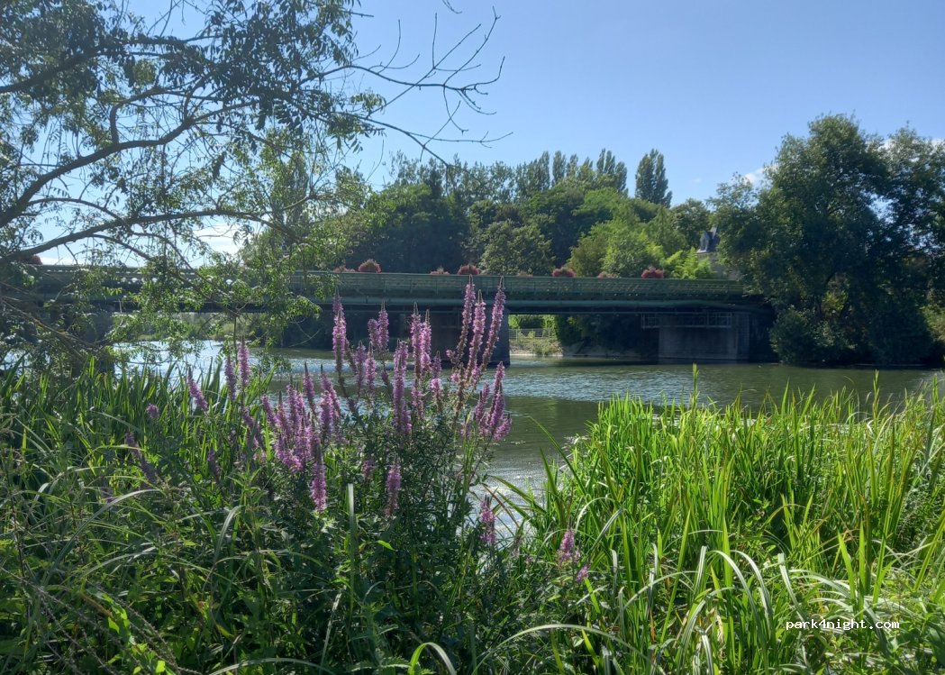 (72800) Luché-Pringé - 11 Rue des Ponts — foto 2