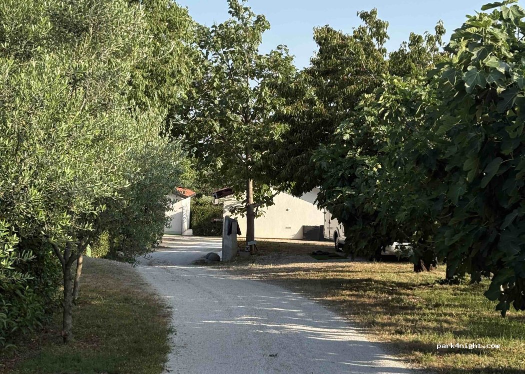 CAMP TERRE j.d.o.o. — foto 5
