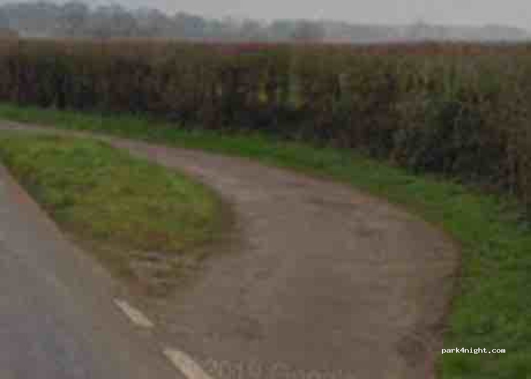 (BA22 9RN) Closworth - Unnamed Road — foto