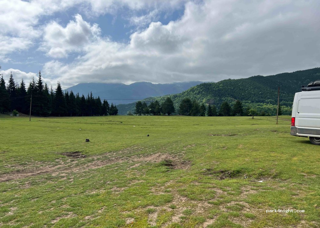 (08790) Ciritdüzü - — foto