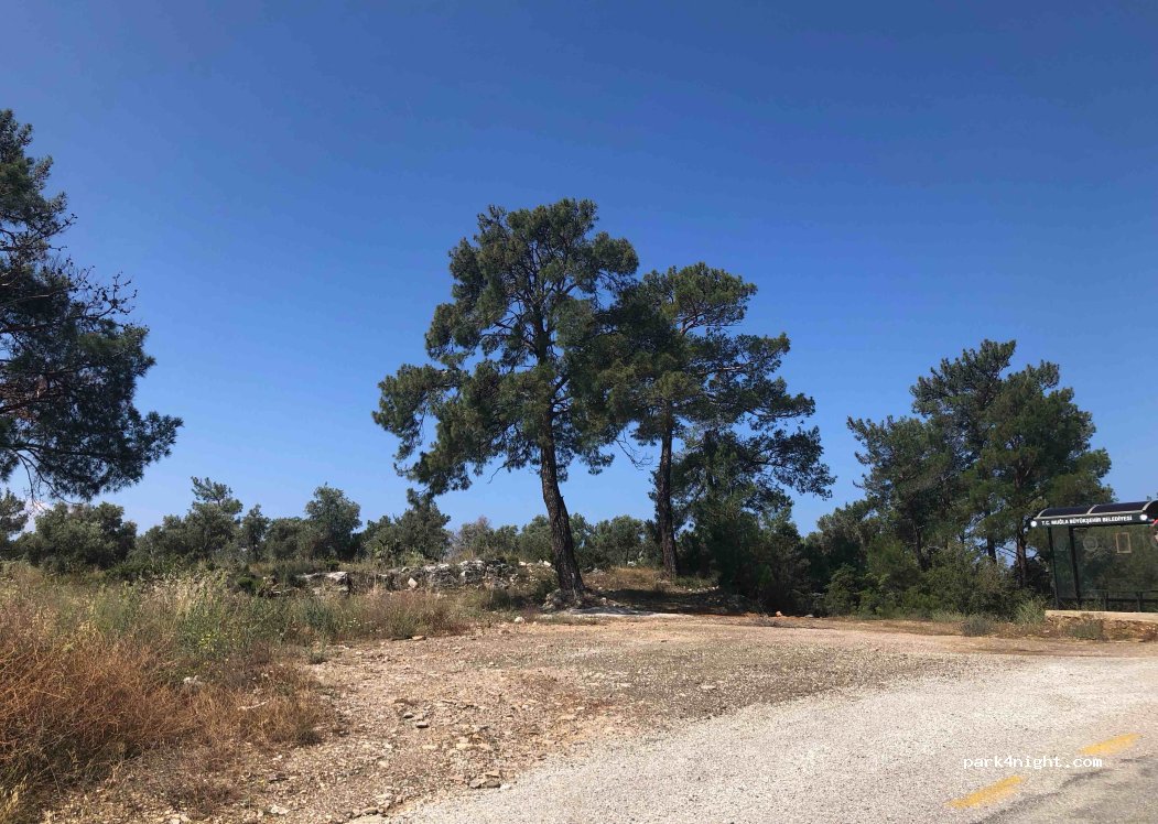 (48100) Menteşe - Unnamed Road — foto