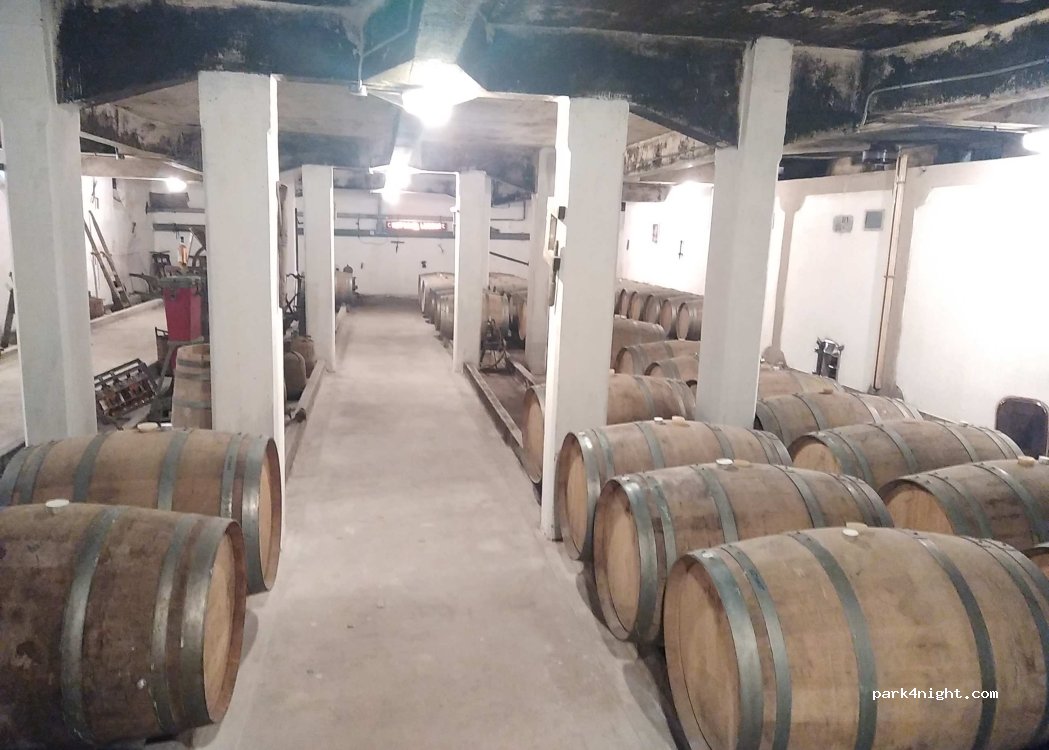 Château Lescure — foto 5