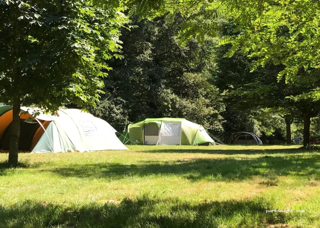 Camping Fans — foto