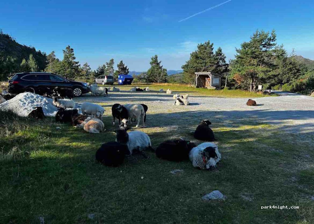 (4121) Tau - 5 Bjørheimsheia — foto