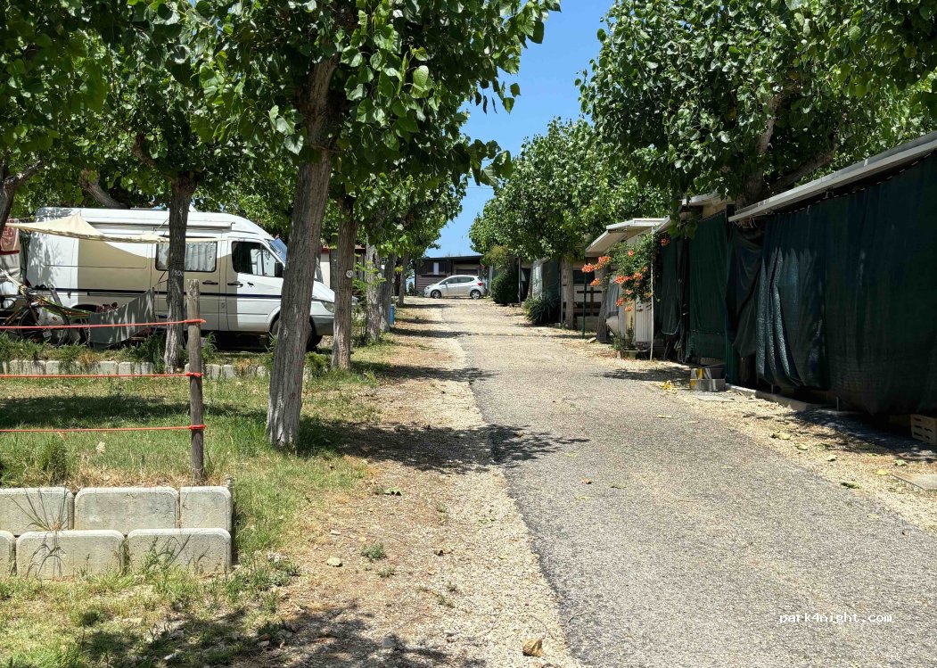 Camping Belvedere S.N.C. — foto 2