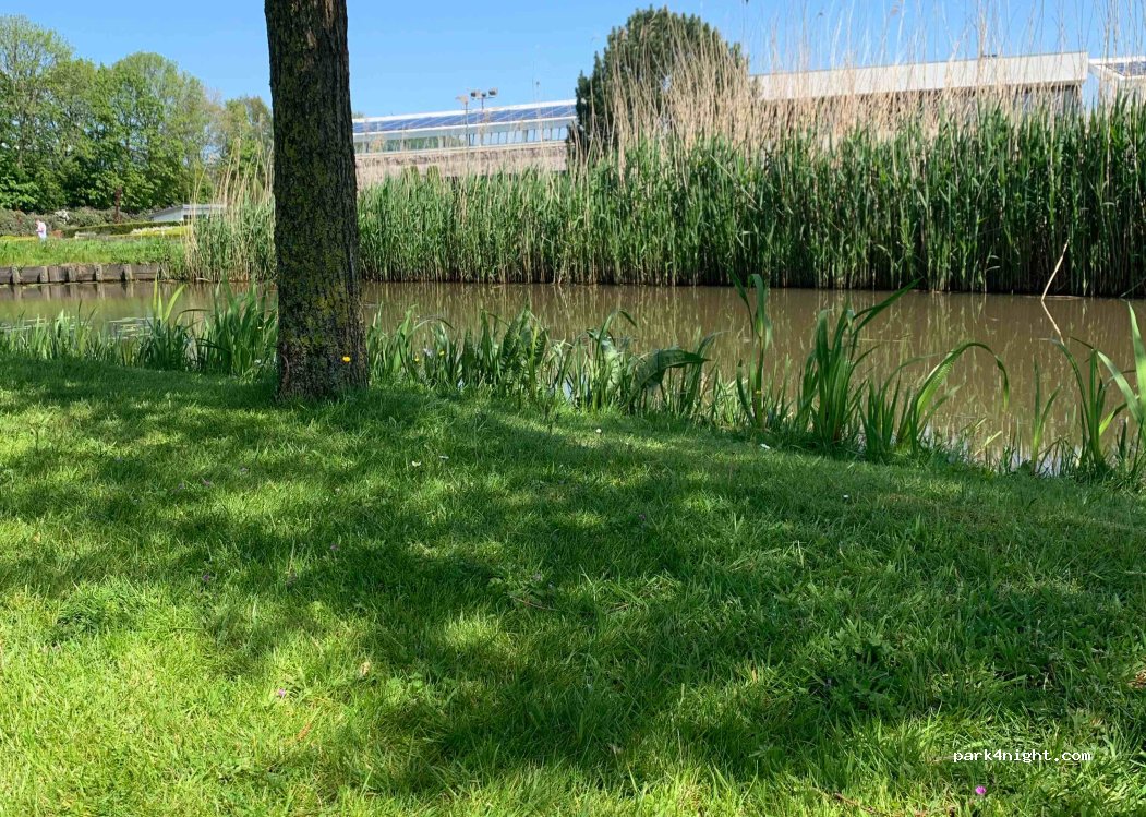 (2361 KV) Warmond - 1 020 Veerpolder — foto 4