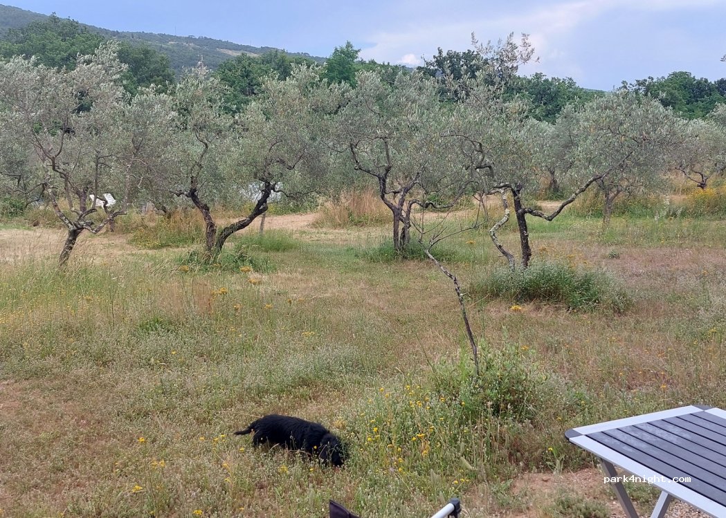 Agricampeggio Borgo Agna — foto 3