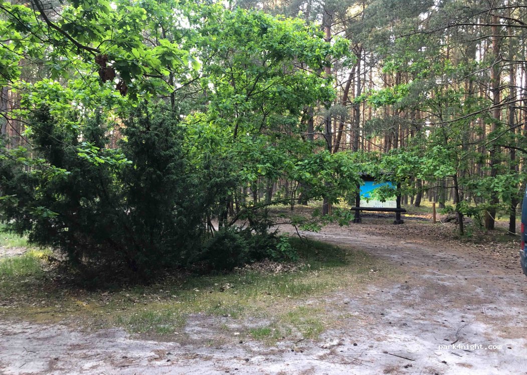 (76) Smołdzino - — foto 2