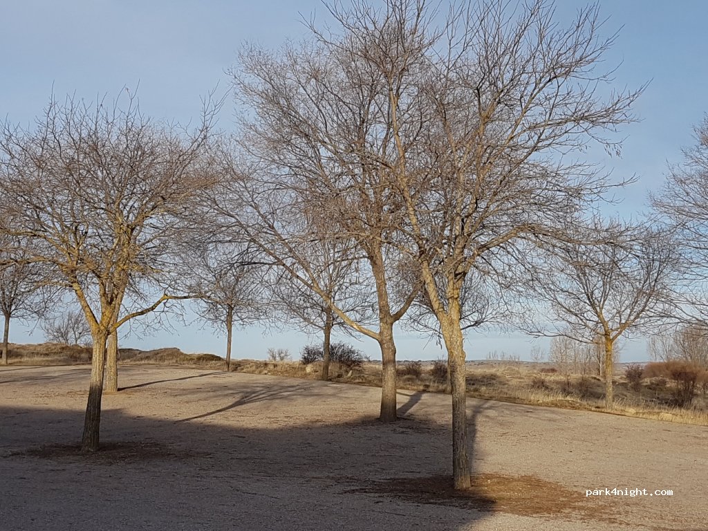 (19260) Alcolea del Pinar - 2 Camino Lavadero — foto 2