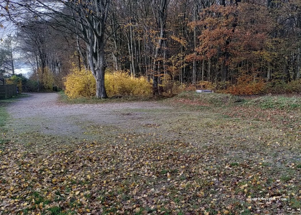 (9800) Hjørring - 60 Åstrupvej — foto