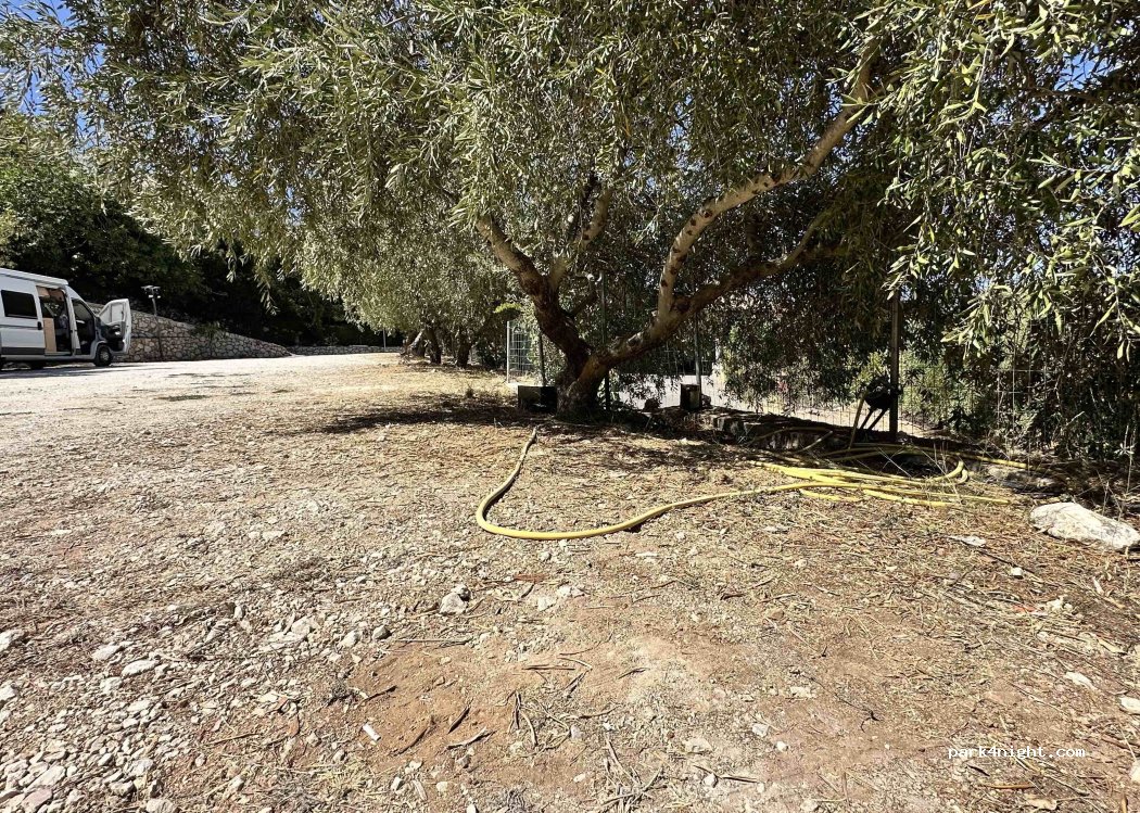 (31080) Municipal Unit of Sfakiates - Δρυμώνας - Άγιος Πέτρος — foto 3