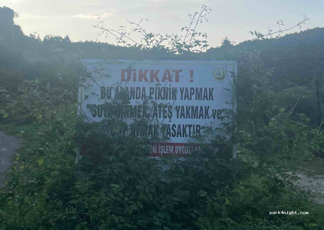 (78602) Konarı - — foto