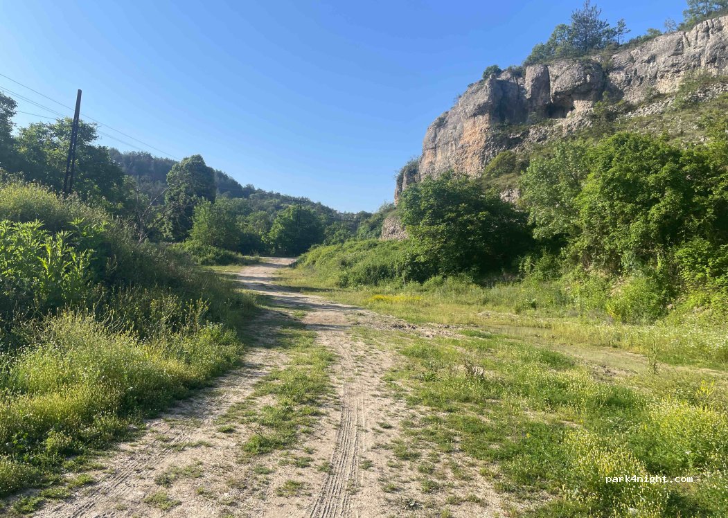 (78602) Konarı - — foto 2