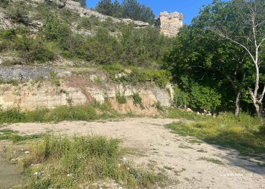 (78602) Konarı - — foto 3