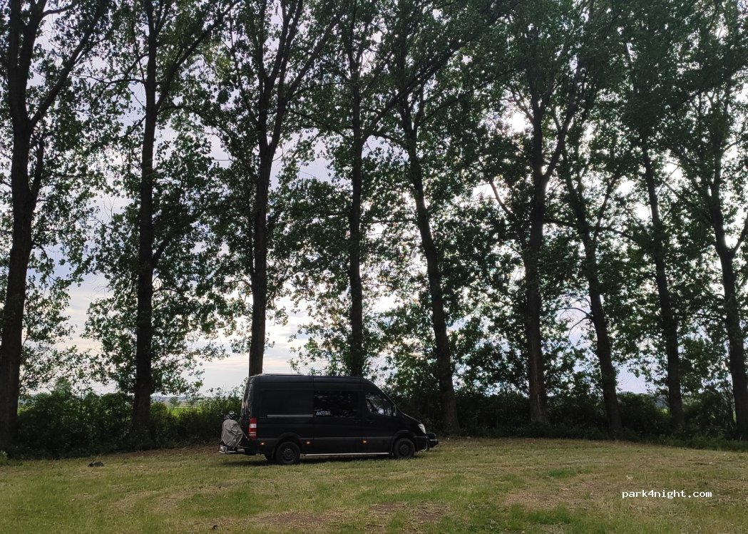 (707065) Butea - — foto 2