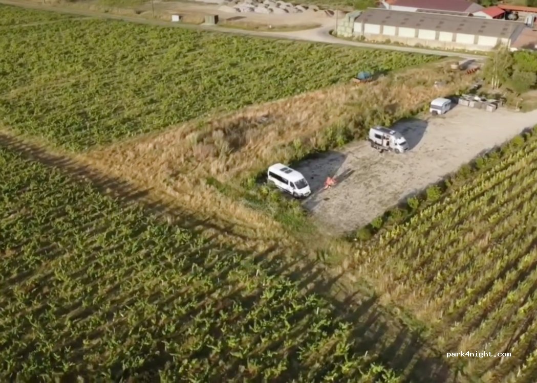 Vignoble du Champ Chapron — foto 4