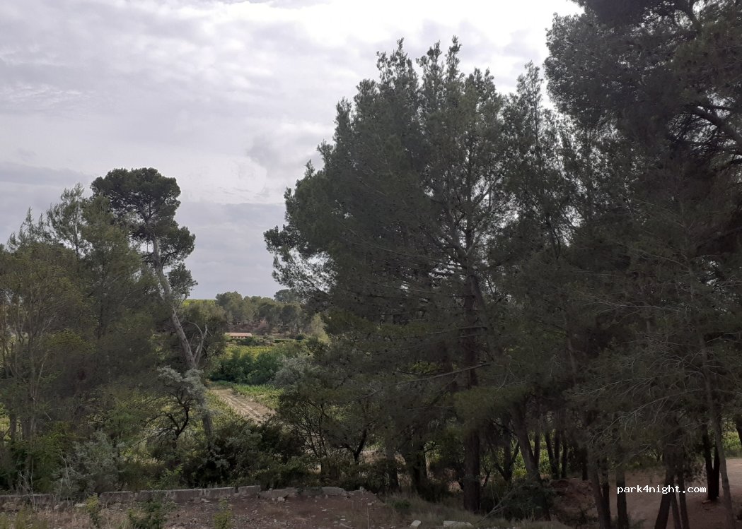 (11160) Rieux-Minervois - Rue Pierre et Marie Curie — foto 2