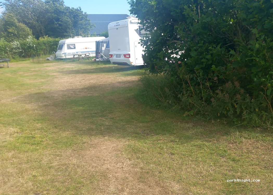 Boerencamping Rhoon op Texel — foto 5