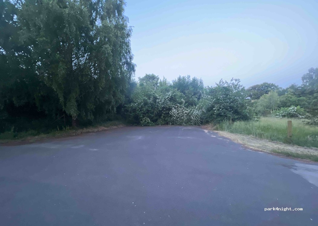 (49808) Lingen (Ems) - 88 Schüttorfer Straße — foto 2