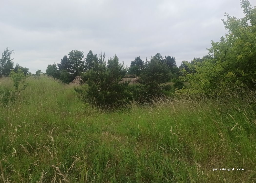 (28-200) Podmaleniec - — foto