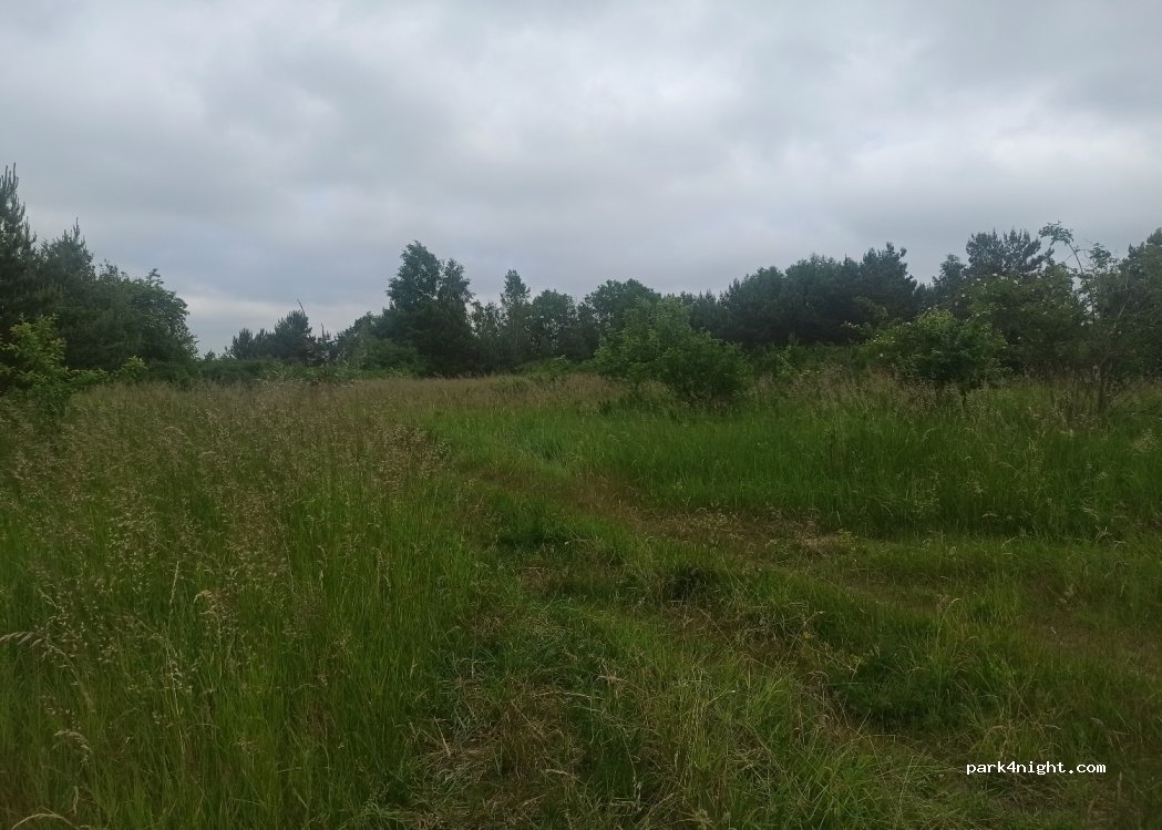 (28-200) Podmaleniec - — foto 2