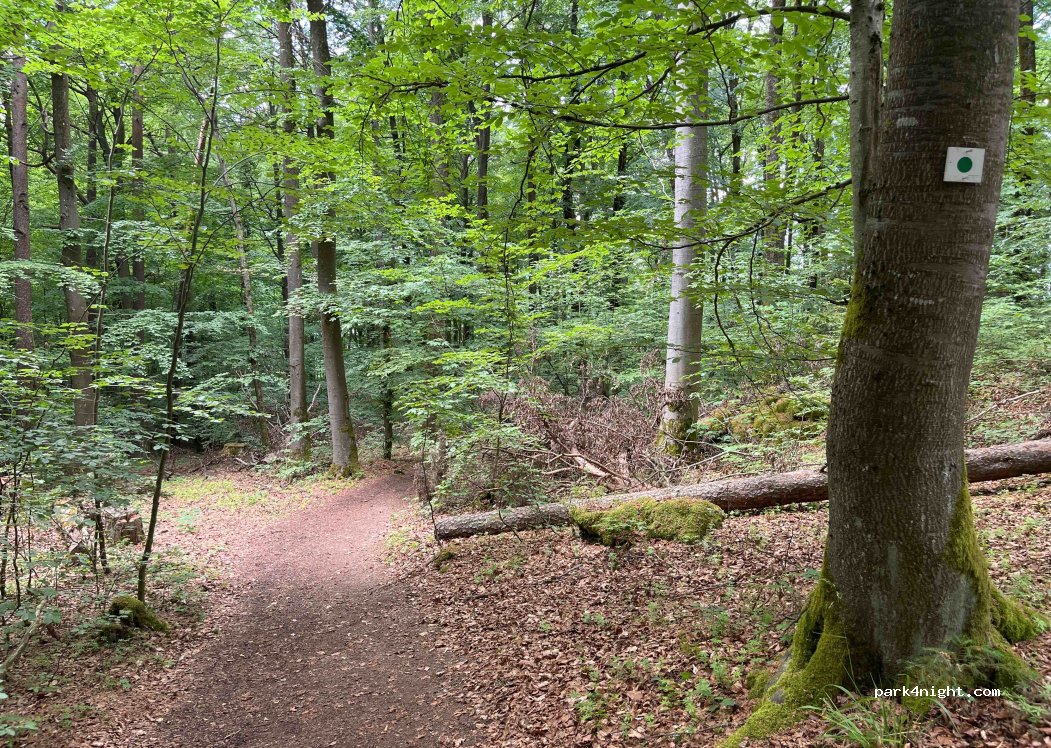 (91284) Neuhaus an der Pegnitz - — foto