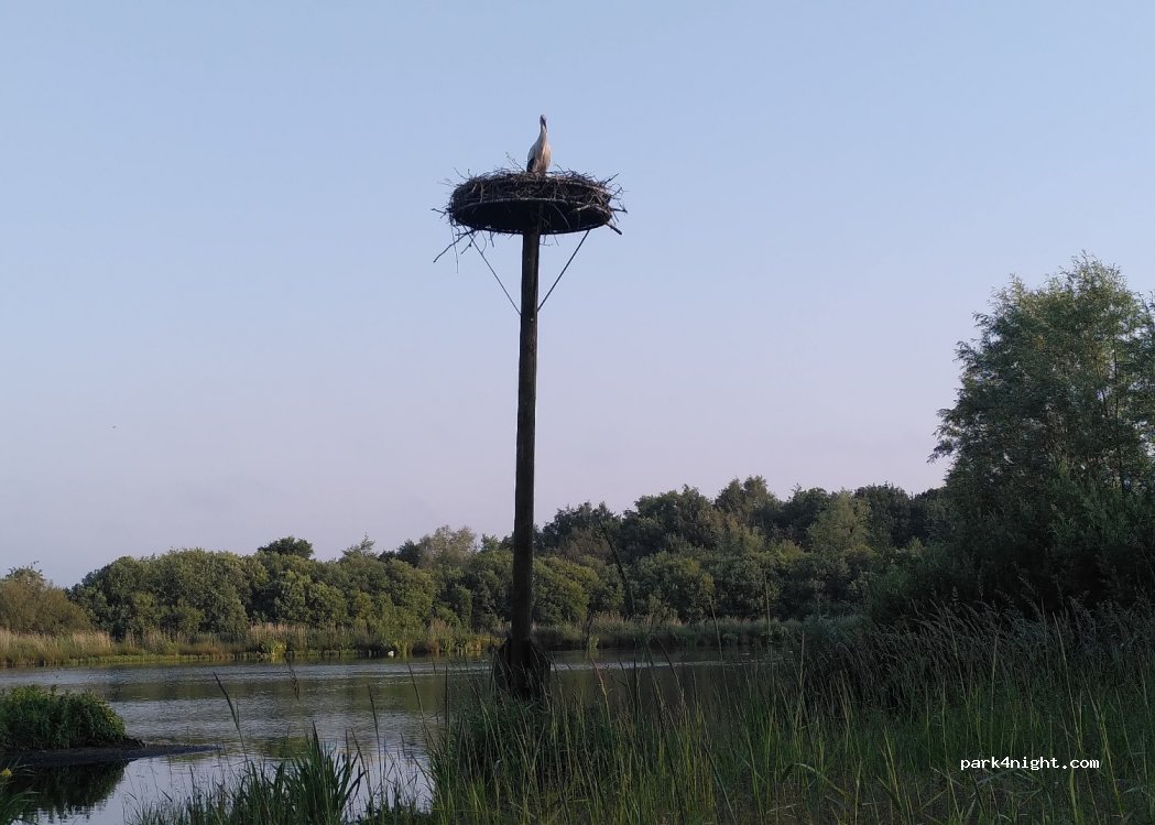 Camping de Watermolen — foto 3