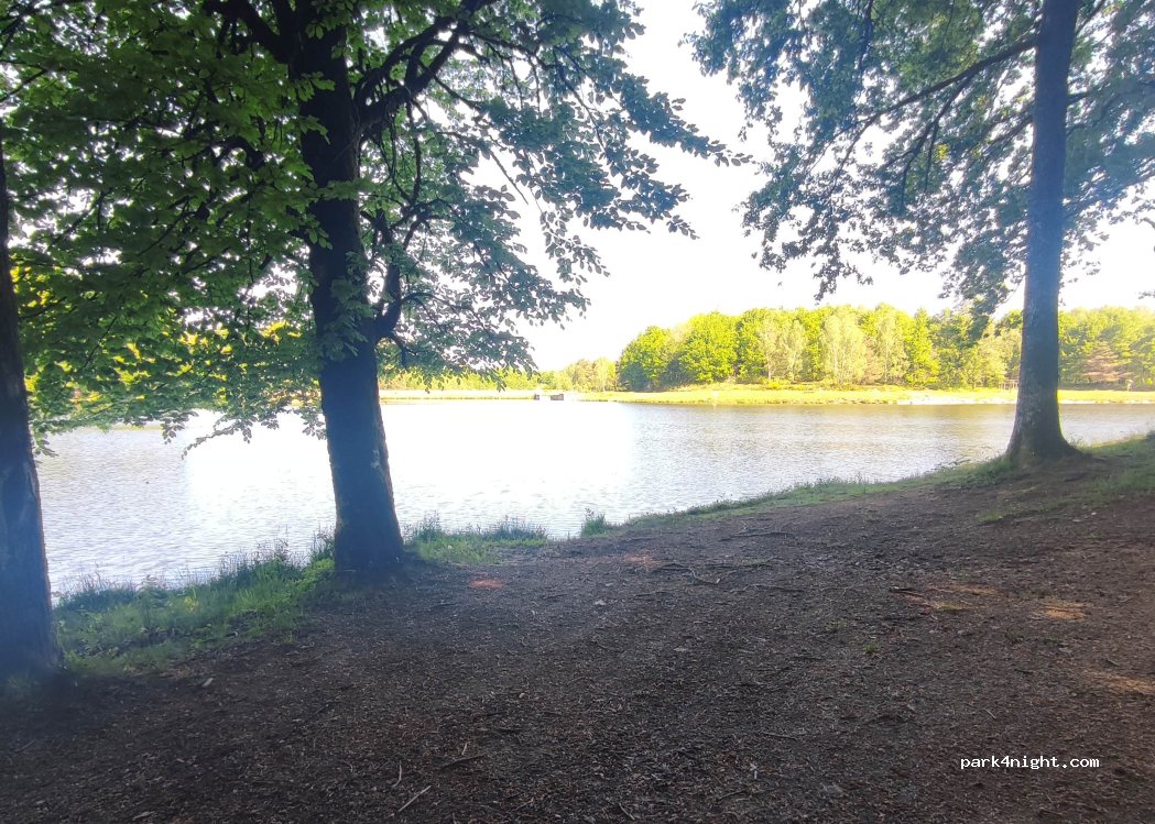 (46210) Gorses - — foto 5