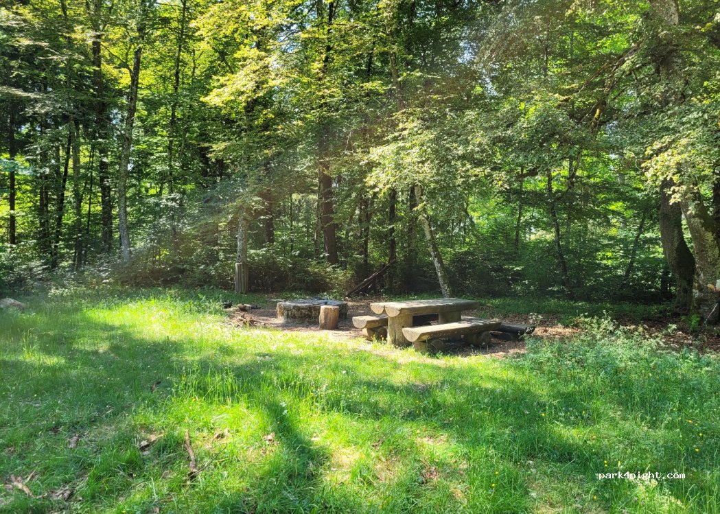 (78600) Kolbingen - — foto