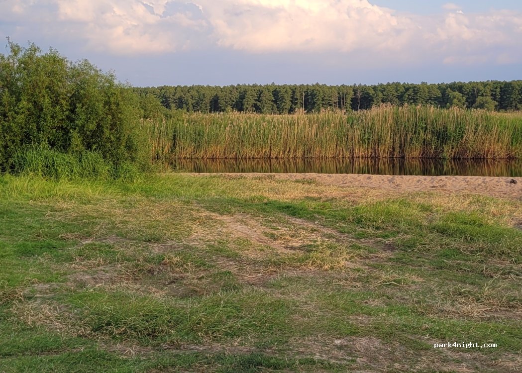 (18) Doktorce - — foto
