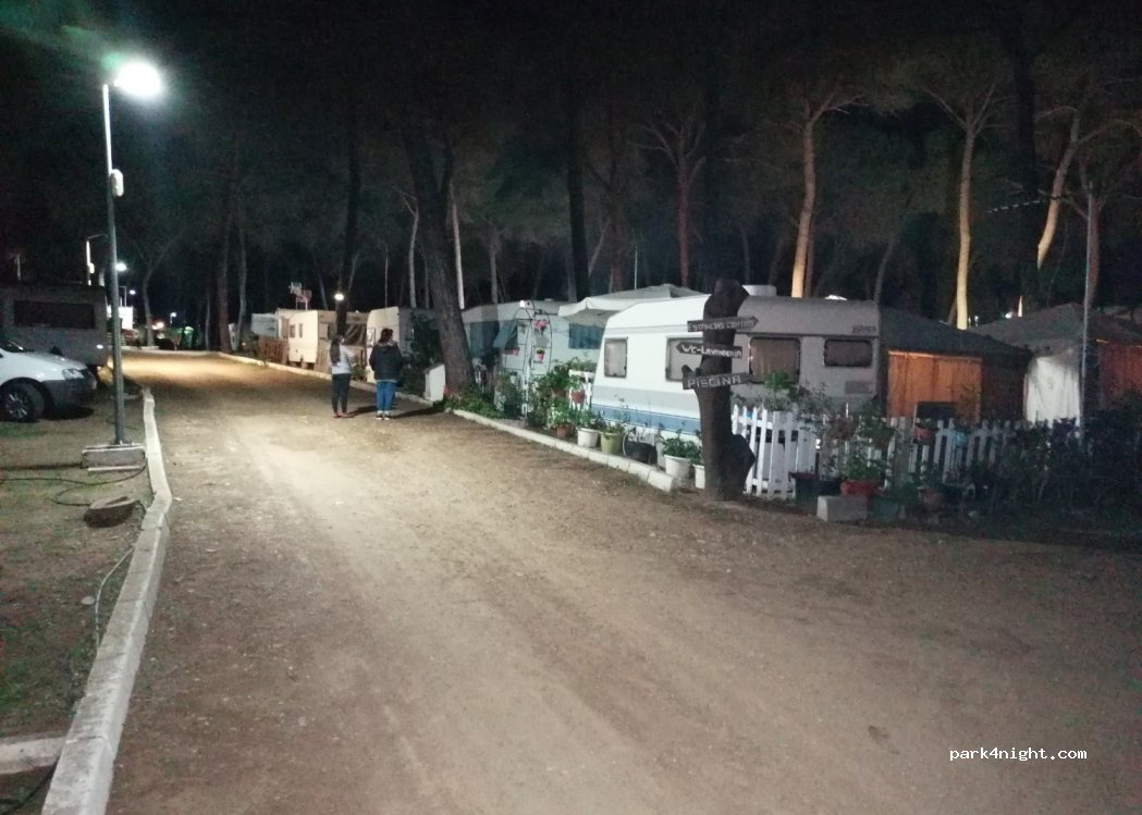 Camping Dehesa Nueva — foto 4