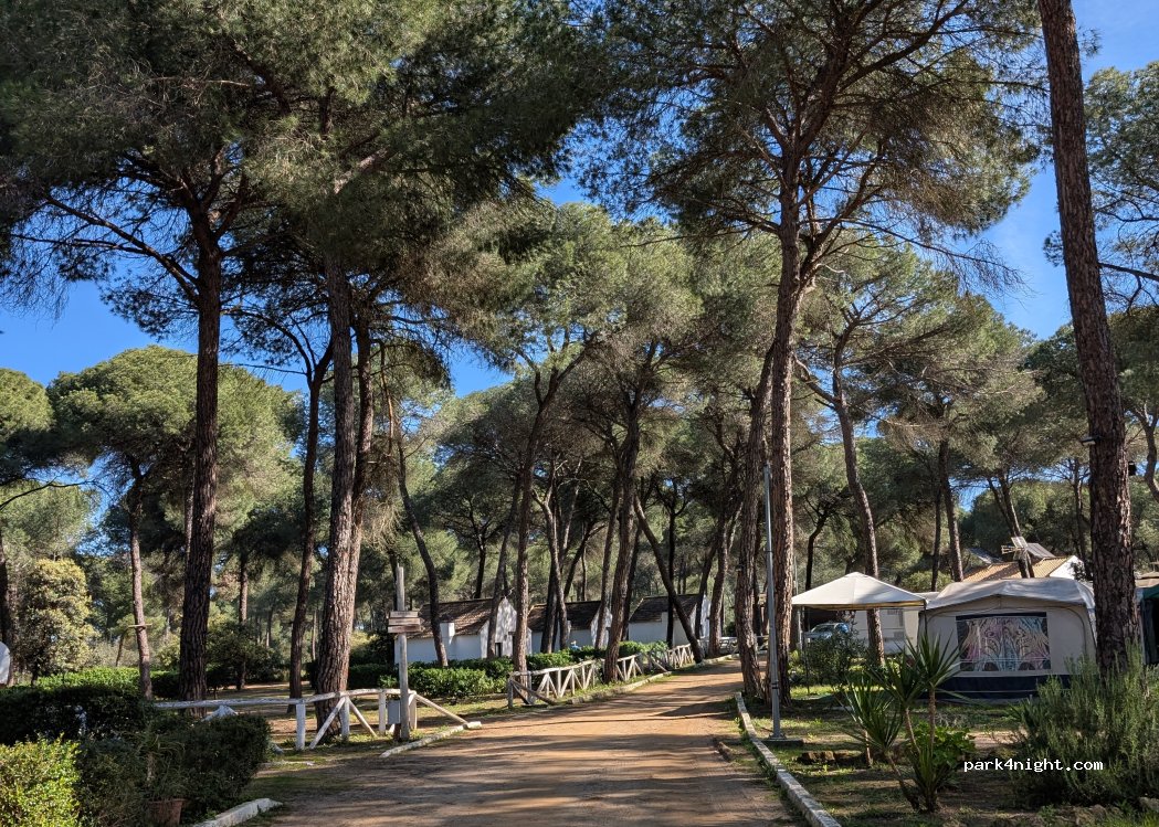Camping Dehesa Nueva — foto 5