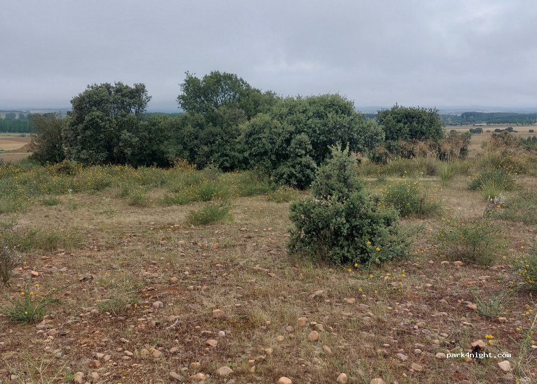(24395) Nistal - Unnamed Road — foto