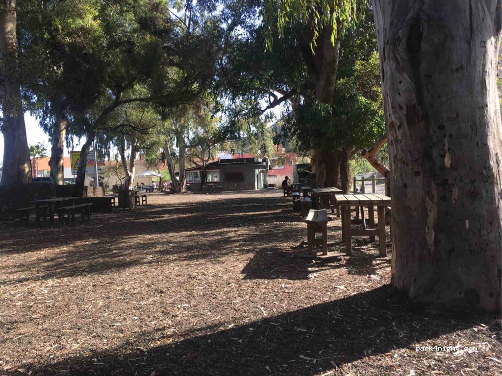 (38690) Santiago del Teide - 68 TF-82 — foto