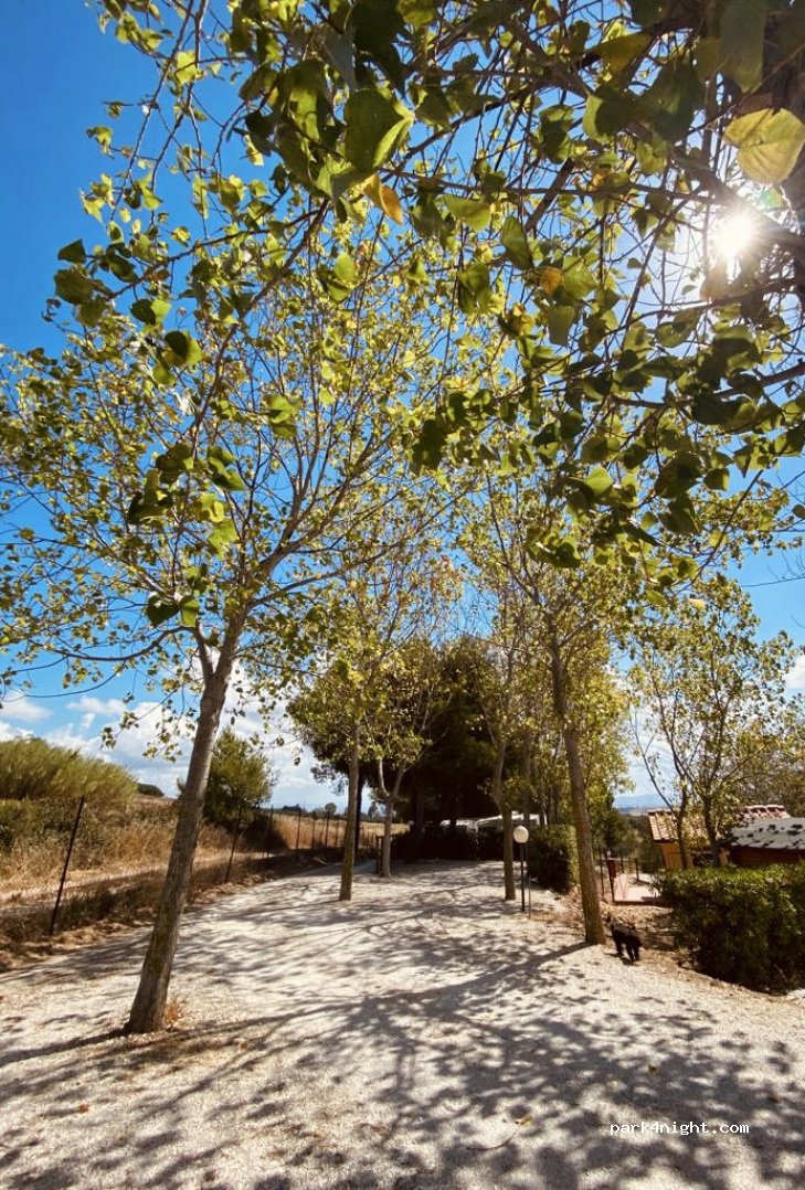 Agricampeggio La Piaggia — foto 3