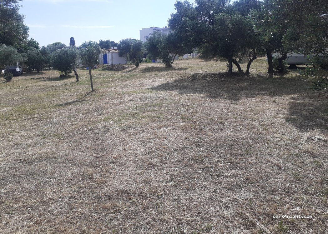 (22244) Murter - 3 Turistička ulica — foto
