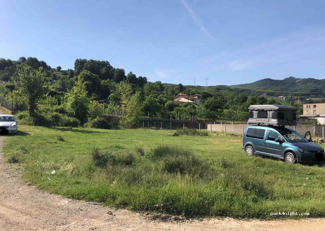 (1001) MushqetënMushqetë - — foto