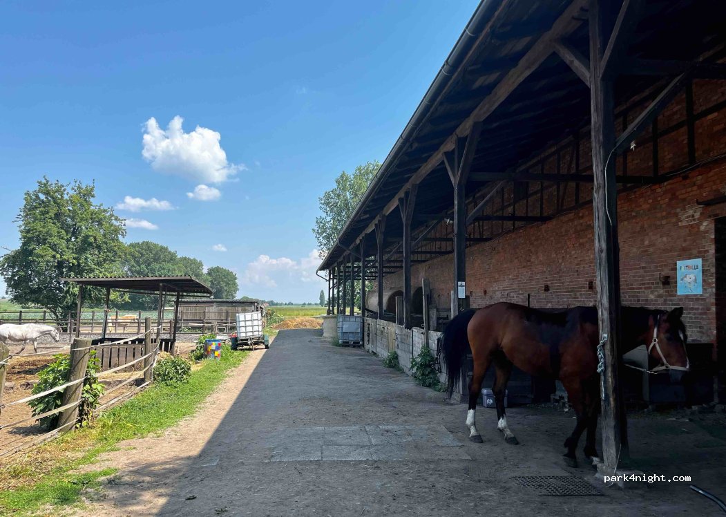 Reitstall Dettum — foto