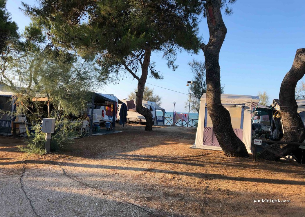 Camping Internazionale Manacore — foto 2