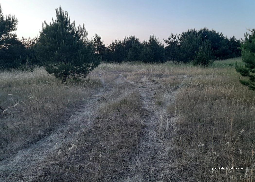 (12) Pasym - — foto 2