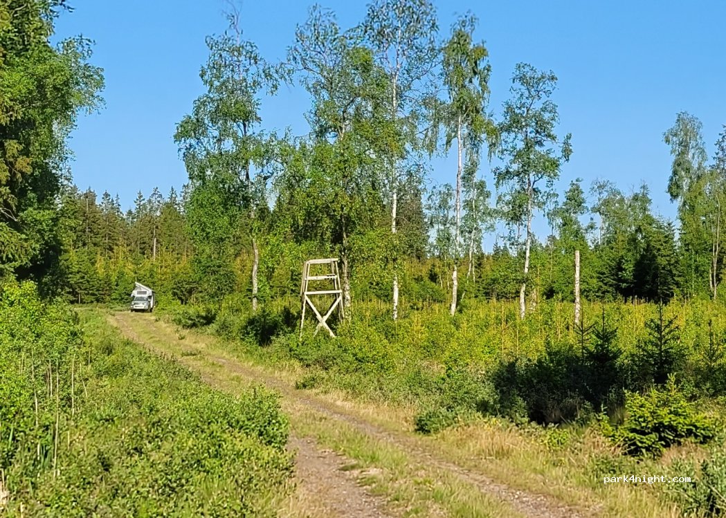 (514 62) Grönahög - — foto 2