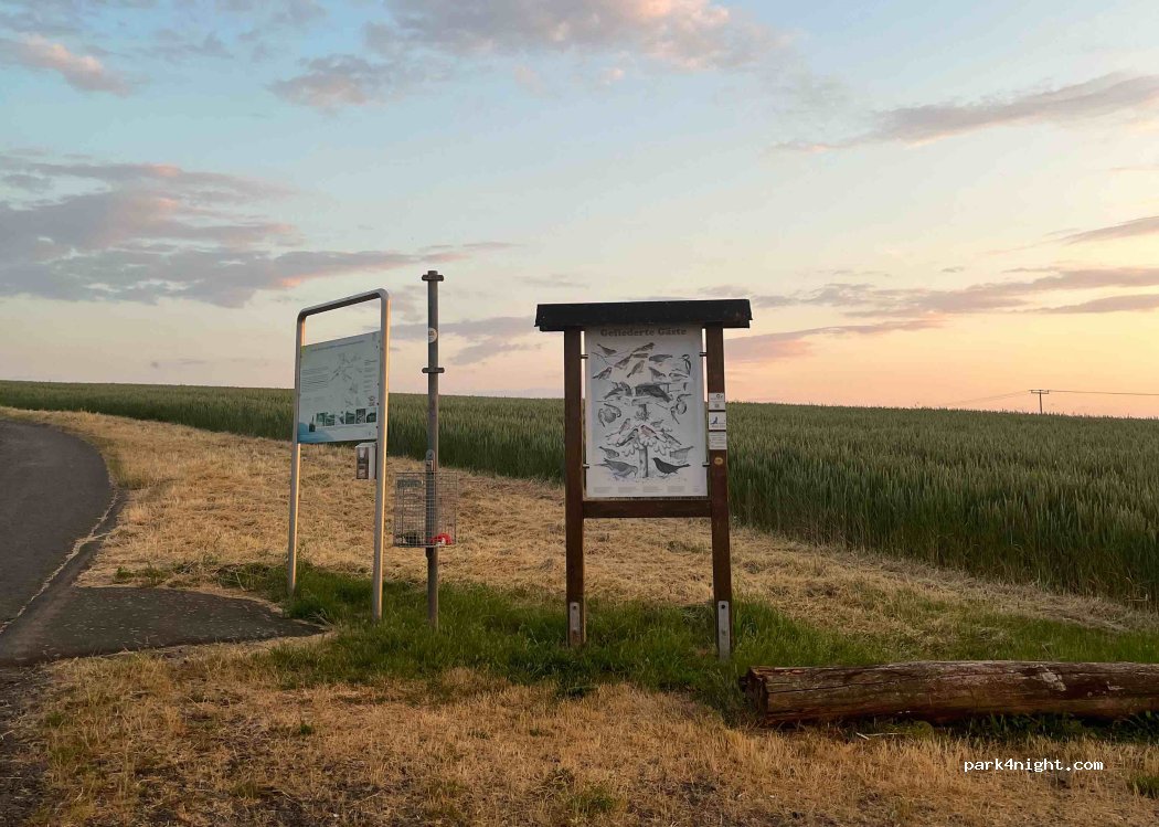 (35423) Lich - Unnamed Road — foto 2