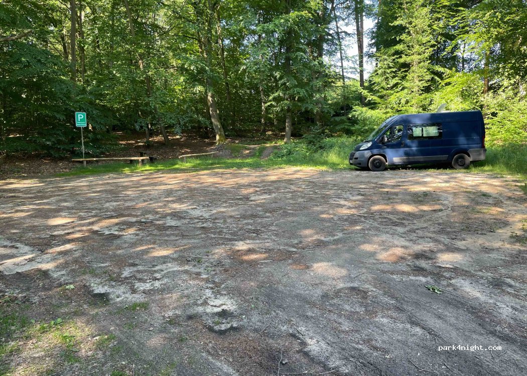 (29499) Zernien - Spranz 8 — foto 3