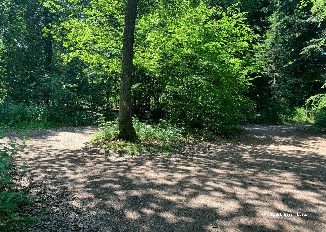 (64756) Mossautal - — foto 3