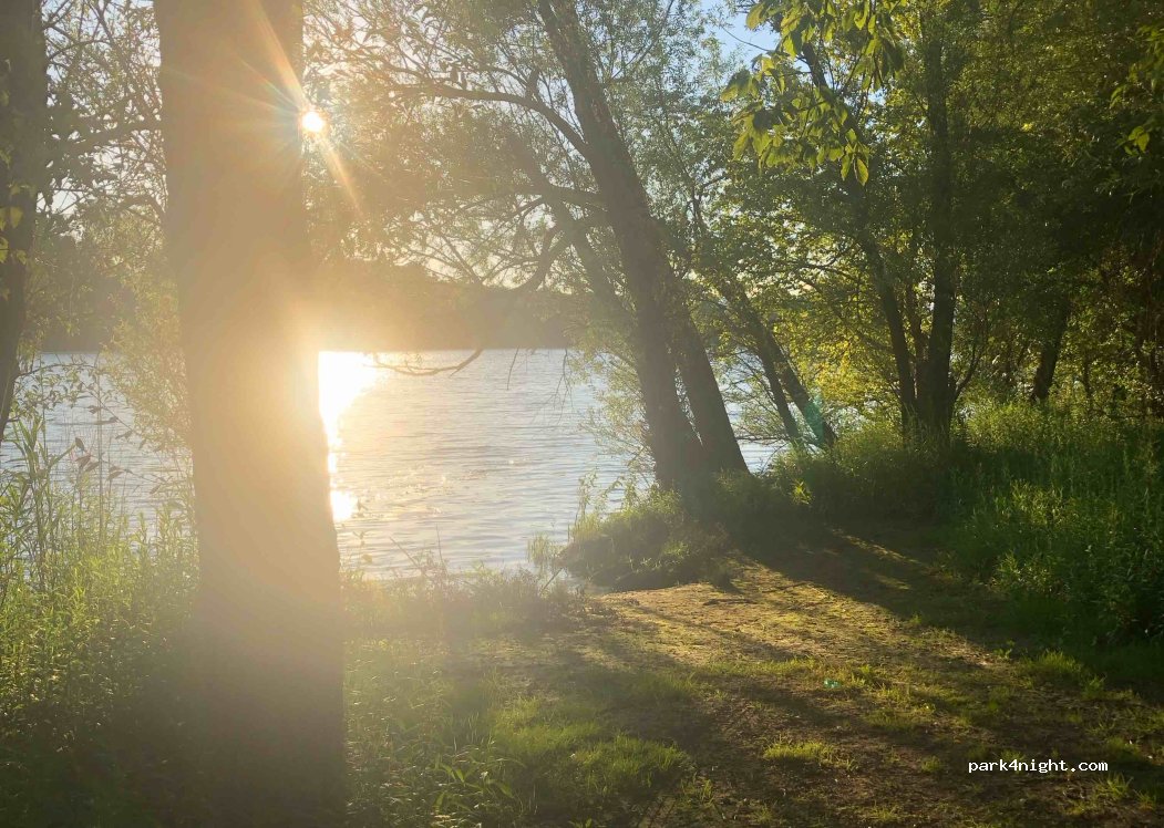 (01480) Fareins - 2205 Chemin du Bord de Saône — foto